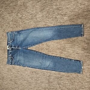 Agolde Skinny Jean